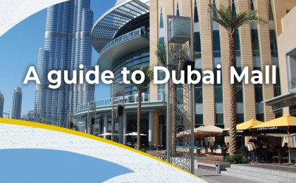   Guide to The Dubai Mall
